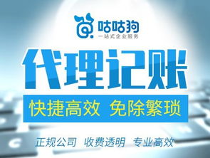一般納稅人與小規(guī)模公司代理記賬服務(wù)全面解析——咕咕狗一站式代辦